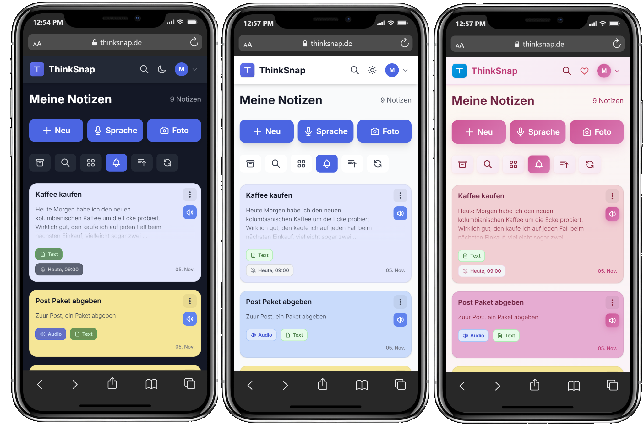 ThinkSnap Look-and-Feel Optionen